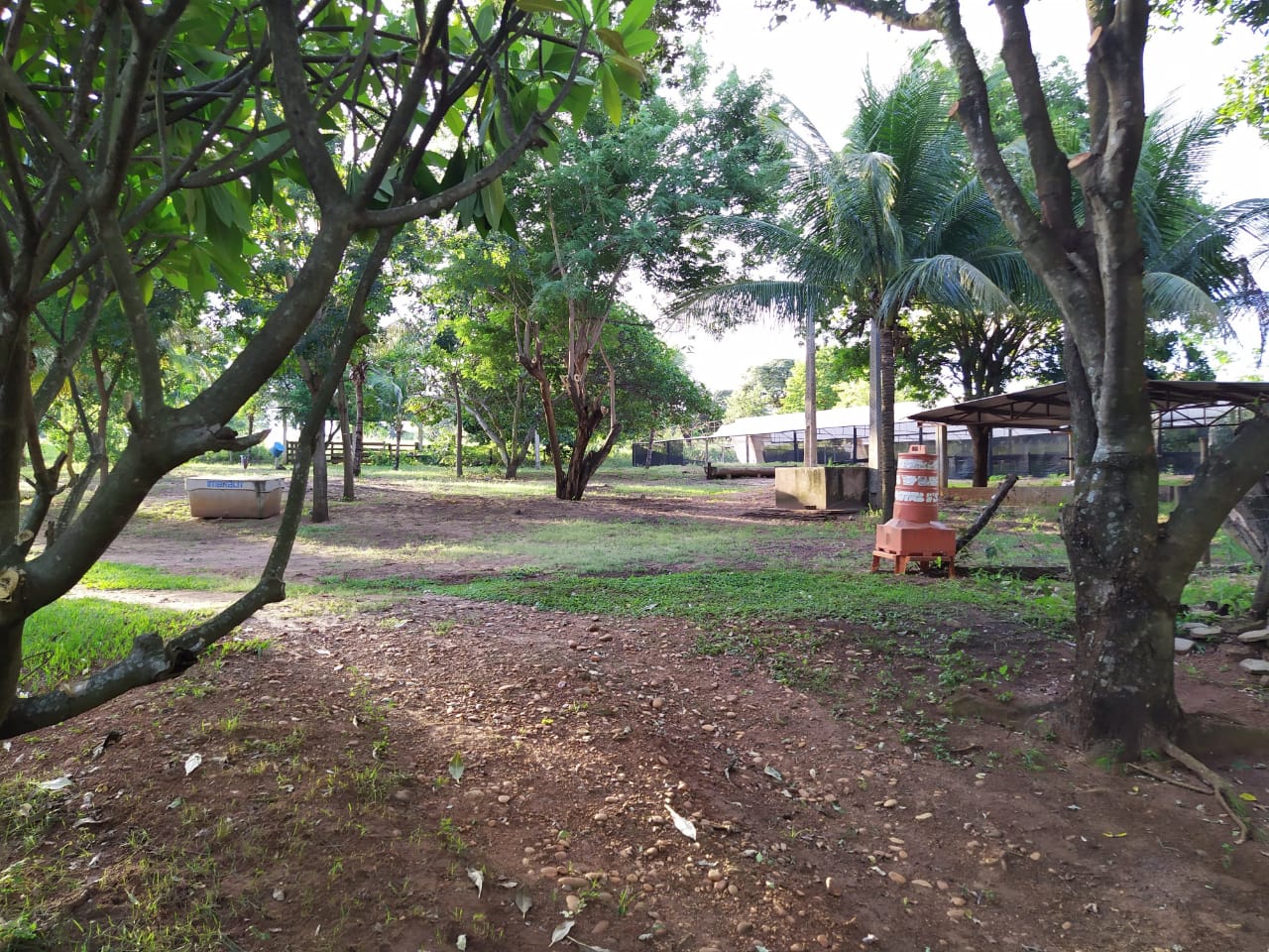 Unidade Aparecida do Tabuado